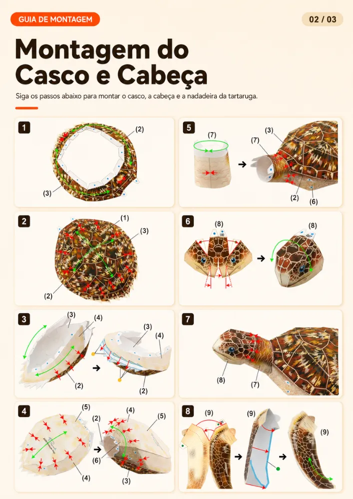 Exemplo temporário do molde de Tartaruga, imagem 2