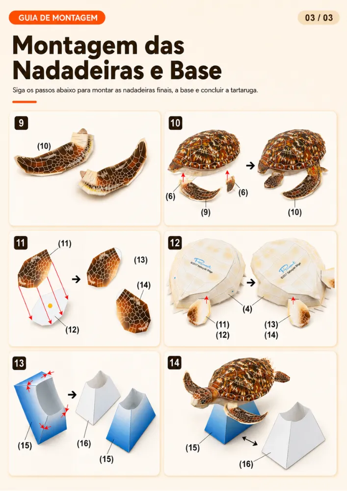 Exemplo temporário do molde de Tartaruga, imagem 3